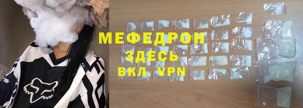 индика Козловка