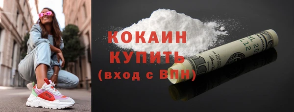 индика Козловка