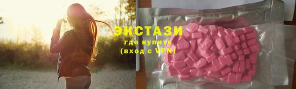 индика Козловка