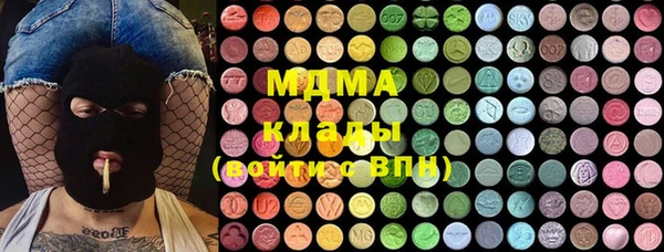 индика Козловка