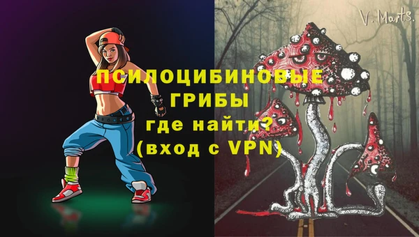 индика Козловка