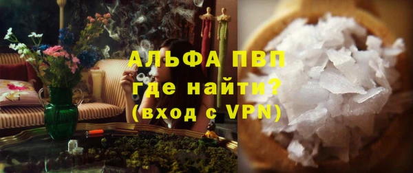 индика Козловка