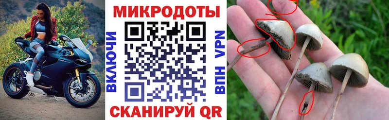Купить где  Лебедянь  Галлюциногенные грибы ЛСД 